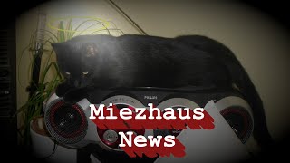 Miezhaus  News [upl. by Harrus187]