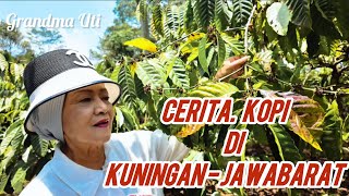 THE STORY A CUP OF COFFEE FROM SEKARWANGI FARM KUNINGAN  WEST JAVA [upl. by Galang404]