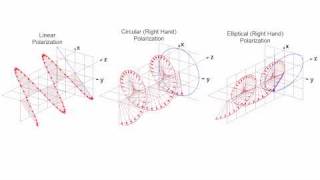 Linear Circular and Elliptical Polarization Animation in a Single Shot [upl. by Yknip700]