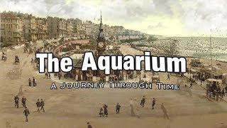 The Aquarium A Journey Through Time Brighton UK [upl. by Adnohsed]