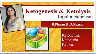 Ketogenesis amp KetolysisKetone bodiesLipid metabolismShiv Bhadra Singh [upl. by Encratia]