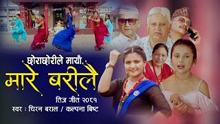 New Teej Song 2081  Chhora Chhorile Maya Mare Barilai  Kalpana Bista  Chiran Baral teejgeet [upl. by Balfour]