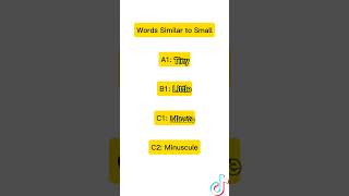 Ielts or Advance adjectives synonym of small [upl. by Gerti]