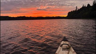 Bass Fishing Fenerty Lake With My Son [upl. by Reggie]