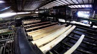 Collums Lumber Products LLC  Sawmill Tour [upl. by Yrekaz]