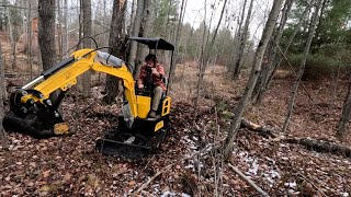 Noob Mini Excavator Fail  First time on the mini Ex [upl. by Ennaegroeg]