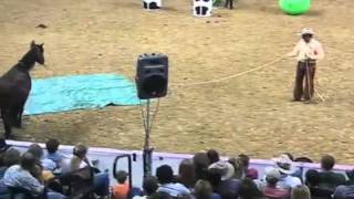 Parelli Natural Horse Training Tip  Horse Confidence [upl. by Mcclenaghan]