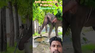 Apne aap Pani Pi raha hai animals elephant [upl. by Crompton]