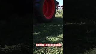 Tedding Late Season Hay hayequipment balinghay [upl. by Ynaffets339]