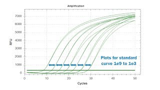 Assess qPCR Efficiency Using a 10Fold Serial Dilution [upl. by Lukey]