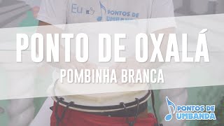 Ponto de Oxalá  Pombinha branca [upl. by Phelips]