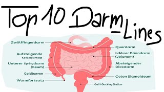 Top 10 DarmLines von Deutschrappern [upl. by Binetta]