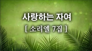 CCM사랑하는 자여  소리엘 7집 [upl. by Liagabba253]