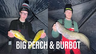 Ice Fishing Lake Diefenbaker  MULTISPECIES Action Ft Monster Angling [upl. by Terrye128]