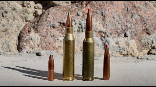 243 vs 65 Creedmoor Which Is Best For You [upl. by Arorua]