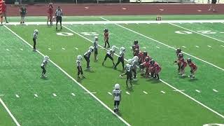 New Smyrna Beach Cudas 8U vs Deland Bulldogs 9724 [upl. by Irita]