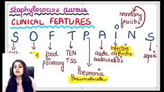 MICROBIOLOGY crash course PART4 [upl. by Strong]