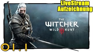 Stehen bleiben STAUNEN ● The Witcher 3 0101 ● LiveStream 18052015 [upl. by Bratton878]