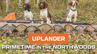 PRIMETIME in the Northwoods Late October Ruffed Grouse amp Woodcock hunting [upl. by Eevets406]