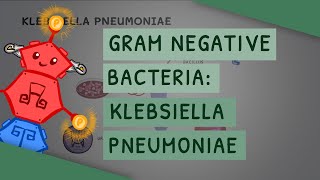 Gram Negative Bacteria Klebsiella pneumoniae [upl. by Brandice491]