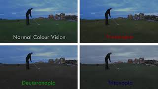 Protanopia vs Deuteranopia vs Tritanopia On St Andrews Golf Links [upl. by Priebe700]