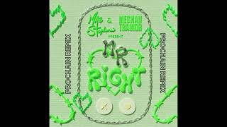 Mae Stephens Meghan Trainor  Mr Right Prochain Remix [upl. by Weiman]