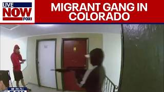 Heavilyarmed migrant gang takes over apartment building in Colorado [upl. by Eenoj437]