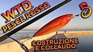 Wtd a Pesce Rosso  Costruzione Collaudo e Cappotto con umiliazione [upl. by Rice]