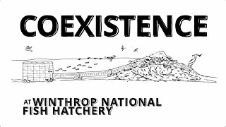 Give Methow  Coexistence [upl. by Ettenwahs]