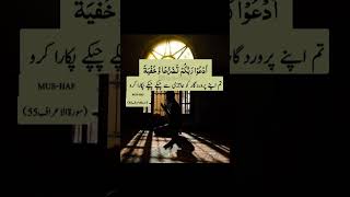 Pyara Islam islamicquotes islamicvideo love islamicstatus [upl. by Atteuqal420]