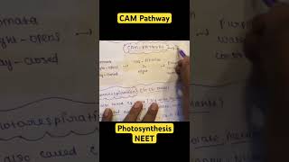 CAM Pathway In 1 Minutes 4 Marks NEET Biology Photosynthesis In Higher Plants neet2024 neetexam [upl. by Rexanne]