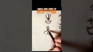 Oracle Bone Script of 燕（swallow） chinesecalligraphy art tattoo [upl. by Dougall]