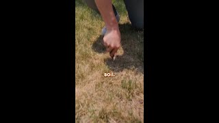 How to Test Your Soil for FREE [upl. by Haram175]