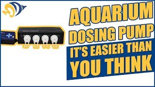 Setting Up an Aquarium Dosing Pump Its Easier Than You Think [upl. by Iphlgenia231]