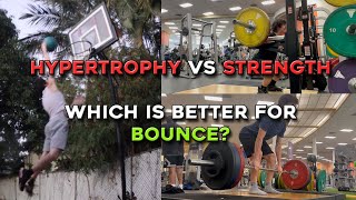 Hypertrophy VS Strength Training For Your Vertical Jump [upl. by Alhahs181]