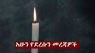 Ethiopia አሁን የደረሰን መረጃ  The Ethiopia News Now November 21 2024  The Ethiopia Channel [upl. by Leamaj]