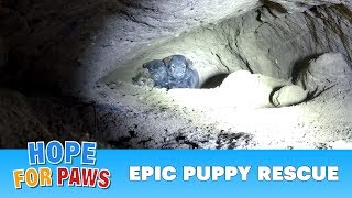 Epic puppy rescue  18 feet into the earth Dangerous Hope For Paws rescue puppy [upl. by Wang]