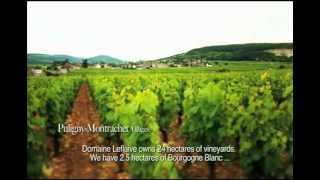 Domaine Leflaive A Path to Follow [upl. by Boylston]