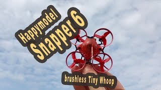 Happymodel Snapper6 1S brushless FPV Tiny Whoop [upl. by Lalaj]