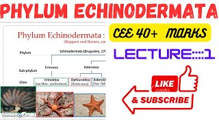 Phylum Echinodermatalecture1 ceee zoology all lectures [upl. by Attennaej635]