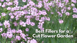 Best Filler Flowers for a Cutting Garden [upl. by Enida]