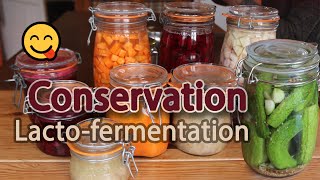 La lactofermentation une méthode de conservation sans danger et peu énergivore [upl. by Yraunaj]