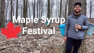 TAP THAT TREE  Maple Syrup Festival  Ontario [upl. by Markman]