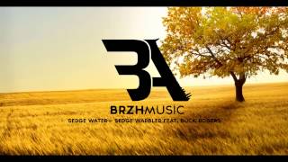 Sedge Water  Sedge Warbler feat Buck Rogers  BrzhMusic [upl. by Selrac]