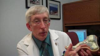 Plantar Fasciitis  Heel Pain  Dr John Schlenz  Orthopaedics  South East Wisconsin [upl. by Ynnij]