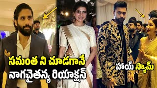 సమంతని చూడగానే నాగచైతన్య😱😱 Naga Chaitanya Reaction On Seeing Samantha varunlav  Screen Masthi [upl. by Esidnac401]