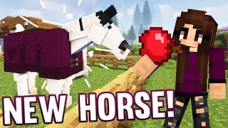 OUR FIRST HORSE SWEM Survival  Minecraft Horse Edition [upl. by Mapel]