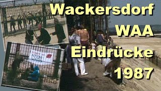 Ereignisse am Bauzaun der WAA bei Wackersdorf 1987 [upl. by Othello]