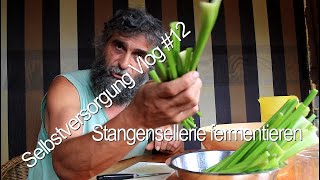 Selbstversorgung Vlog 12 Stangensellerie fermentieren [upl. by Hertzfeld671]