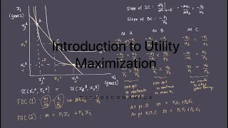 Introduction to the Utility Maximization Process [upl. by Adall]